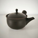 Théière Japonaise <br> Kyusu de Tokoname 320ml