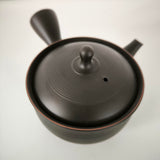 Théière Japonaise <br> Kyusu de Tokoname 320ml