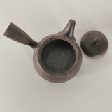 Théière en Céramique <br> Kyusu 300ml
