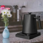 Bouilloire Electrique Design <br> Réglage Température 1L