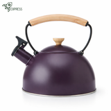 Bouilloire à Sifflet Induction