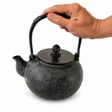 Bouilloire en Fonte Pour Poêle <br> Tetsubin 1,2L