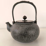 Bouilloire en Fonte Pour Poêle <br> Tetsubin 1,2L