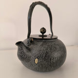 Bouilloire en Fonte Pour Poêle <br> Tetsubin 1,2L