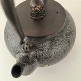 Bouilloire en Fonte Pour Poêle <br> Tetsubin 1,2L