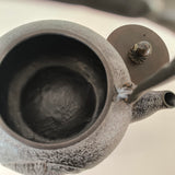 Bouilloire en Fonte Pour Poêle <br> Tetsubin 1,2L
