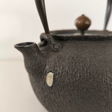 Bouilloire en Fonte <br> Pour Poêle HADA 1,2L