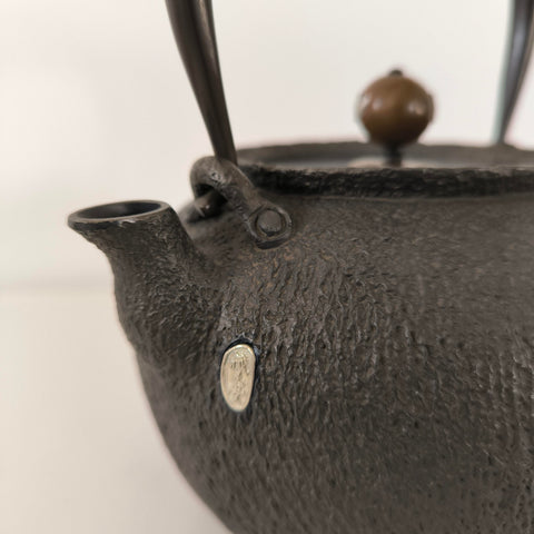 Bouilloire en Fonte <br> Pour Poêle HADA 1,2L