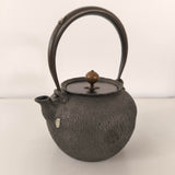 Bouilloire Fonte Non émaillée