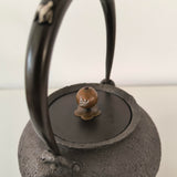 Bouilloire en Fonte <br> Pour Poêle HADA 1,2L