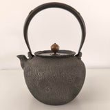 Bouilloire en Fonte Chinoise