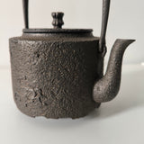 Bouilloire en Fonte <br> Tetsubin 1L