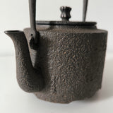 Bouilloire en Fonte <br> Tetsubin 1L