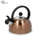 Bouilloire Inox Induction