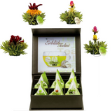 Fleur de thé <br> Coffret 6 fleurs de thé vert