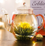 Fleur de thé noir et thé blanc <br> qui s'ouvre dans l'eau