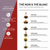 Fleur de thé noir et thé blanc <br> qui s'ouvre dans l'eau
