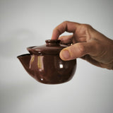 Théière Japonaise <br> Hohin Made in France ROU GUI 190ml