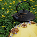 Théière en Fonte Japonaise