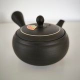 Théière Japonaise <br> Kyusu Plat Tokoname 290ml