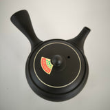 Théière Japonaise <br> Kyusu Plat Tokoname 290ml