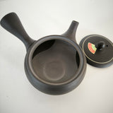 Théière Japonaise <br> Kyusu Plat Tokoname 290ml