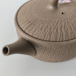 Théière Japonaise <br> Kyusu Plat Tokoname 160ml