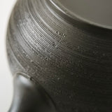 Théière Japonaise <br> Kyusu Tokoname 350ml