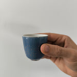 Service à Thé Porcelaine Chinoise <br> Jingdezhen 140 à 200ml
