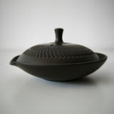 Théière Artisanale Japonaise
