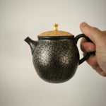 Théière Japonaise <br> Tenmoku Kyusu Tokoname 180-260ml