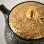 Théière Japonaise <br> Tenmoku Kyusu Tokoname 180-260ml