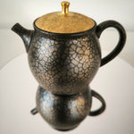 Théière Japonaise <br> Tenmoku Kyusu Tokoname 180-260ml