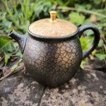 Théière Japonaise <br> Tenmoku Kyusu Tokoname 180-260ml