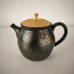 Théière Japonaise <br> Tenmoku Kyusu Tokoname 180-260ml