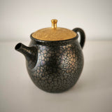 Théière Japonaise <br> Tenmoku Kyusu Tokoname 180-260ml