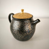Théière Japonaise <br> Tenmoku Kyusu Tokoname 180-260ml
