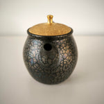 Théière Japonaise <br> Tenmoku Kyusu Tokoname 180-260ml