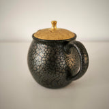 Théière Japonaise <br> Tenmoku Kyusu Tokoname 180-260ml