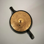 Théière Japonaise <br> Tenmoku Kyusu Tokoname 180-260ml