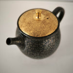 Théière Japonaise <br> Tenmoku Kyusu Tokoname 180-260ml
