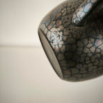 Théière Japonaise <br> Tenmoku Kyusu Tokoname 180-260ml