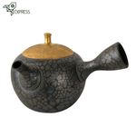 Théière Japonaise <br> Tenmoku Kyusu Tokoname 260ml