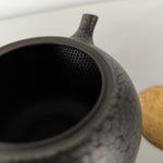 Théière Japonaise <br> Tenmoku Kyusu Tokoname 260ml