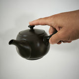 Théière Céramique du Japon <br> Tokoname 640ml