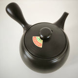 Théière Céramique du Japon <br> Tokoname 640ml