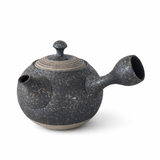 Théière Artisanale du Japon