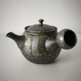 Théière Japonaise Artisanale Tokoname <br> Fujita Tokuta 250-370ml