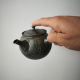 Théière Japonaise Artisanale Tokoname <br> Fujita Tokuta 250-370ml