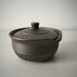 Théière Japonaise <br> Banko-Yaki 110ml